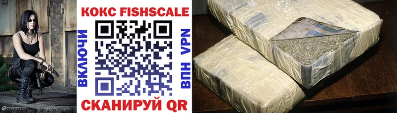 Cocaine FishScale  Купить  Кашира 