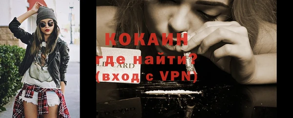 индика Баксан