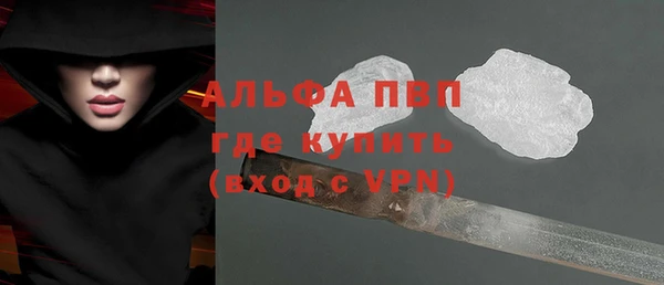 шишки Осинники