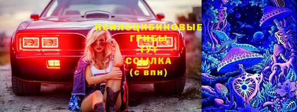 шишки Осинники