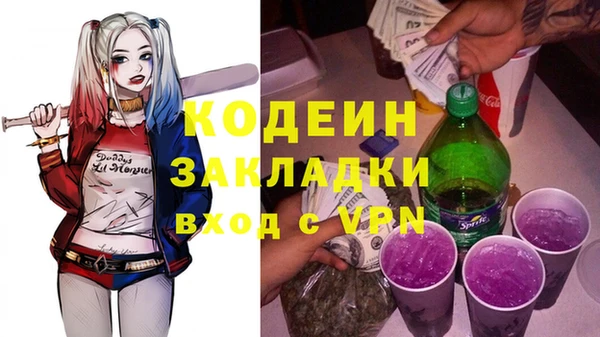индика Баксан