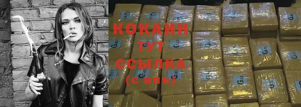 индика Баксан