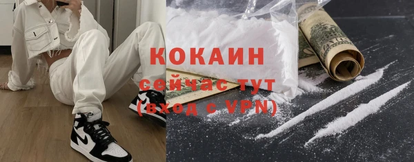 индика Баксан