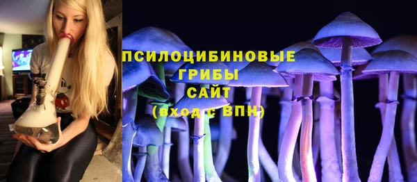 герыч Арсеньев