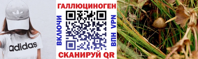 Купить  Кашира  Галлюциногенные грибы прущие грибы 